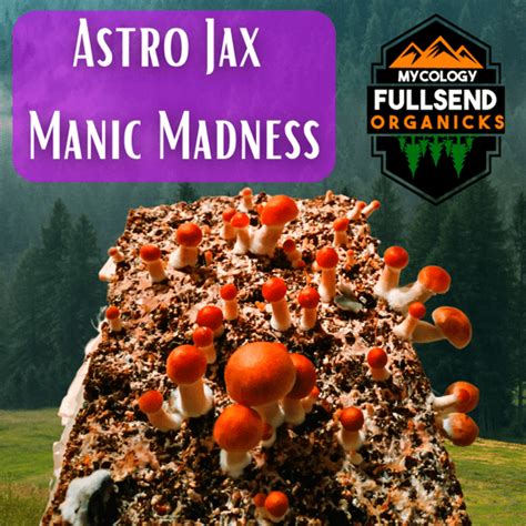 Astro Jax Manic Madness Mushrooms Fullsend Organicks