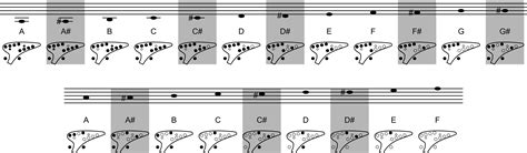 My 12 Hole Ocarina Fingering Chart R Ocarina