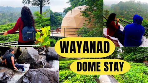 😍wayanad Trip Dome Stay Wayanad Wayanad Tourist Places Wayanad Tourism Wayanad Travel