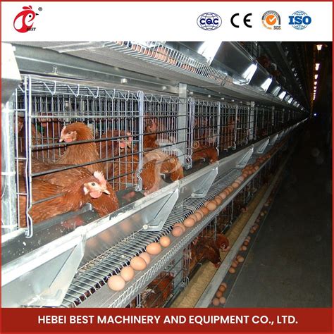 Bestchickencage H Type Breeder Cage Layer Cage China Ark Chicken Layer