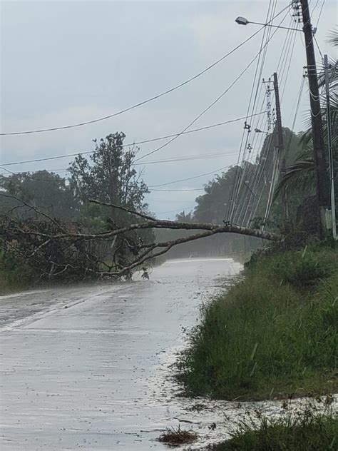 Ventania destelha casas derruba árvores e deixa Cruzeiro do Sul sem