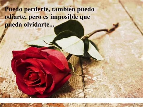 Aprender Acerca 42 Imagen Imagenes De Rosas Con Frases Bonitas