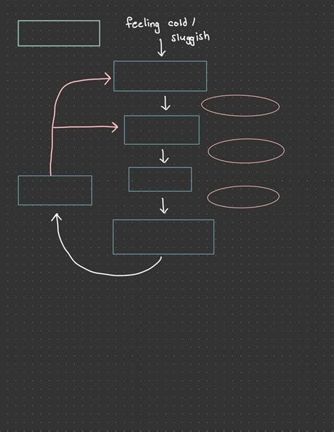 Feedback Loops Thyroxin Diagram Quizlet