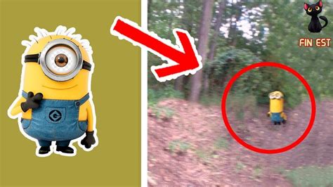 Top Real Minions Caught On Camera And Seen In Real Life Youtube