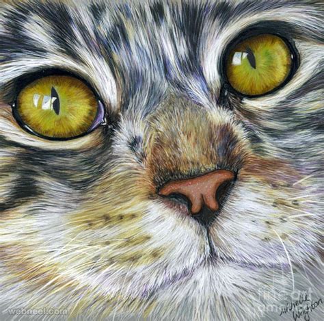 Cat Color Pencil Drawing Michelle 15