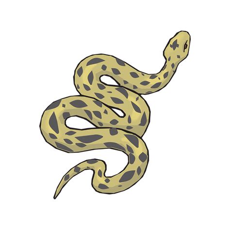 Snake Free Photo Clipart Yellow Snake Anaconda Png Photo Art File