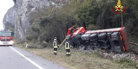 Cervo Salta E Finisce Nella Cabina Di Guida Il Camion Si Rovescia