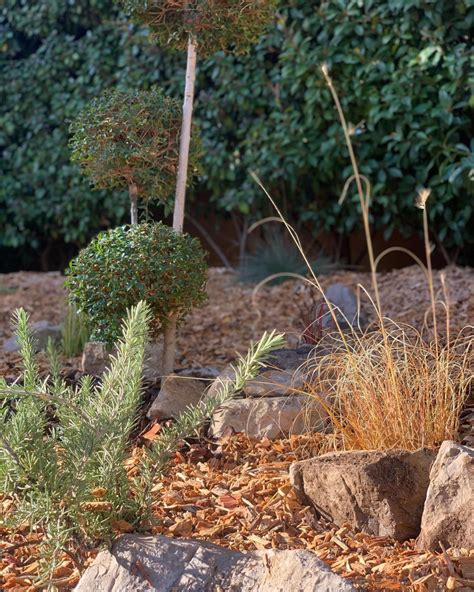 Les Meilleures Plantes Pour Talus En Pente Sans Entretien Un