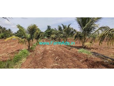 4 Acre Coconut Farm Land For Sale Near Nanjungud Nanjangud Mysore