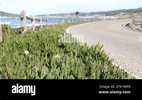 17 Mile Drive Scenic Road Monterey California USA Trip Along Ocean