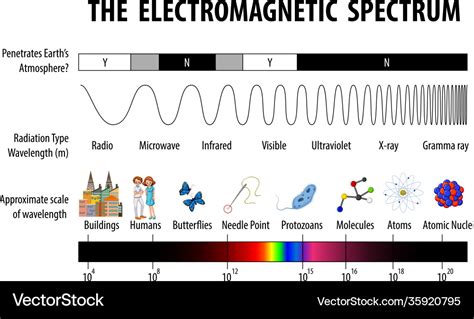 Science Electromagnetic Spectrum Diagram Vector Image