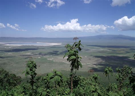 Rhino In Tanzania S Ngorongoro Crater Audley Travel US