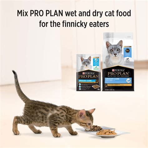 Buy Pro Plan Urinary Tract Health Chicken Gravy Wet Cat Food Pouches ...