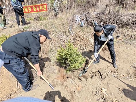 植树添新绿 不负好春光 ——南岔县人民法院开展义务植树主题党日活动澎湃号·政务澎湃新闻 The Paper