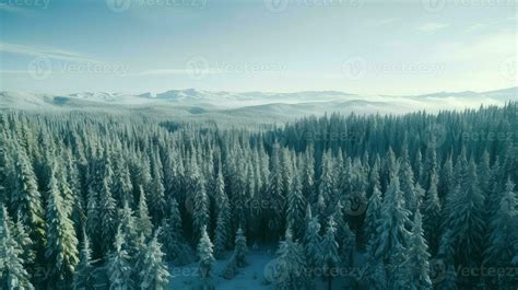 Ai Generated Larch Coniferous Forest Taiga 35812886 Stock Photo At Vecteezy