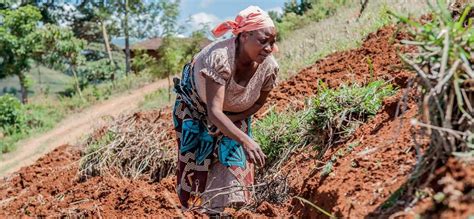 soil erosion agriculture