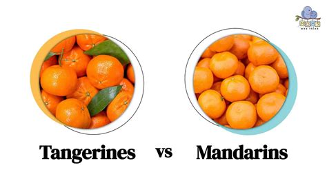 Tangerines Vs Mandarins The Sweet Showdown Of Similarities And