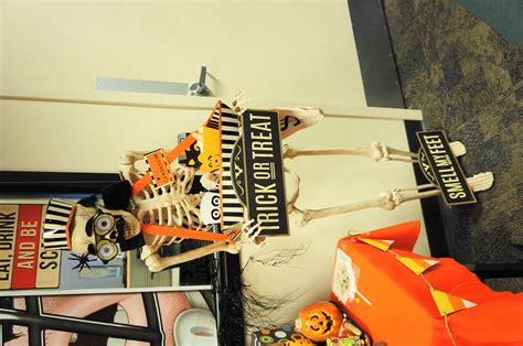 My Halloween Skeleton Displays | Halloween skeletons, Display, Halloween