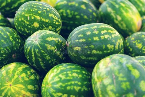 Pile Of Watermelons In Grocery Store Stock Image Image Of Selective