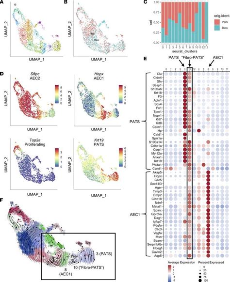 Jci Insight Functional Pdgfra Fibroblast Heterogeneity In Normal And