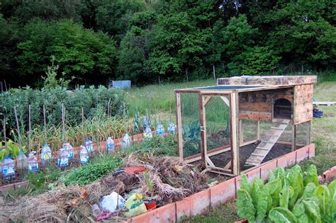 Como Hacer Un Gallinero Casero Con Palets La Huertina De Toni