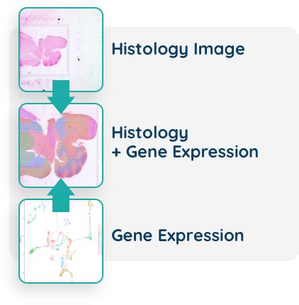 Spatial Transcriptomics AcelaBio