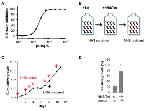 A Genome Scale T B Brucei Rnai Library Screening Strategy For Human