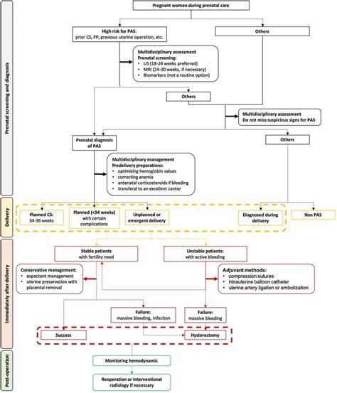 What We Know About Placenta Accreta Spectrum PAS European Journal