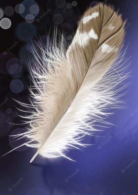 Premium Photo | Feather drawing of a beautiful feather handmade drawing