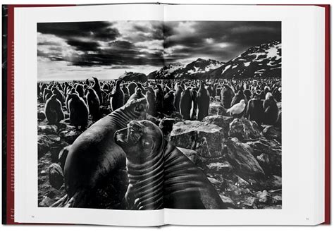 Love letter to Earth Sebastião Salgado GENESIS TASCHEN Books