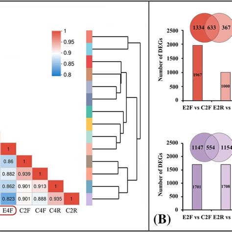 Correlation Of Gene Expression In The 14 Samples And Differentially