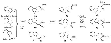 Chemoenzymatic Synthesis Of Indole Containing Acyloin Derivatives