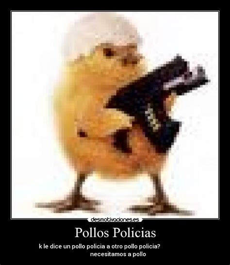 Lista 101 Foto Que Le Dijo Un Pollo A Otro Pollo Lleno