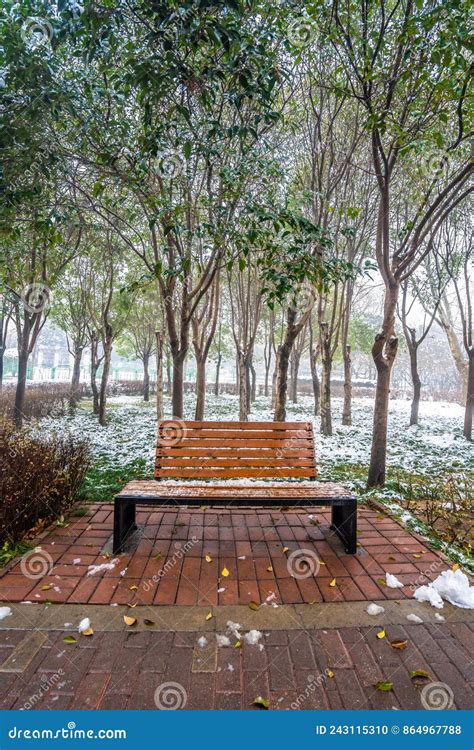 A Park Bench on a Snowy Winter Day Stock Photo - Image of areas, trees ...