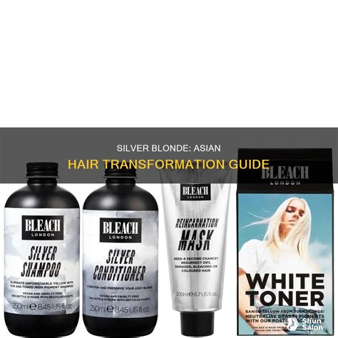 Silver Blonde Asian Hair Transformation Guide ShunSalon