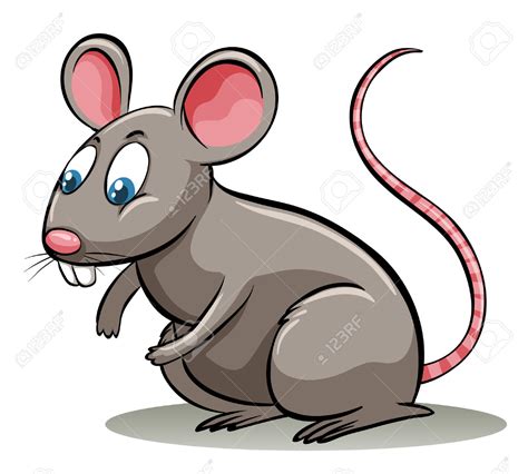 Rat Clipart Picture 17384 Rat Clipart