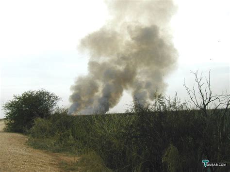 The Diawling Nature Reserve Mauritania Page Pictures From