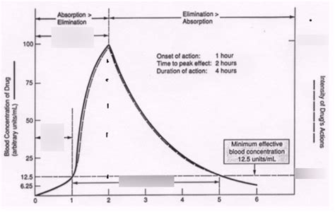 Pharmacokinetics Pharmacodynamics Diagram Quizlet