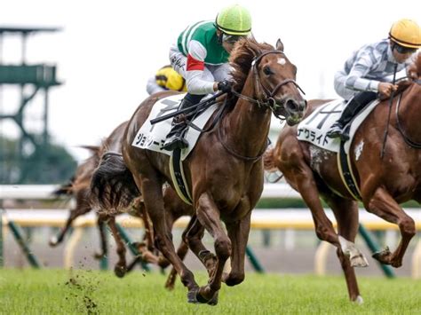 【東京5r新馬戦結果】モーリス産駒ジョリーレーヌが人気に応えて差し切りv 競馬ニュース Netkeiba