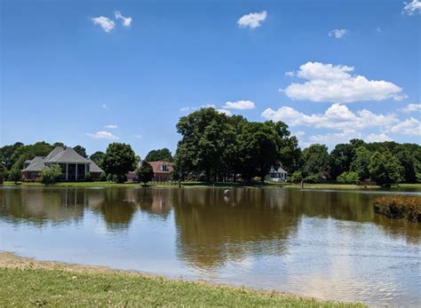 services  olive branch ms hiller