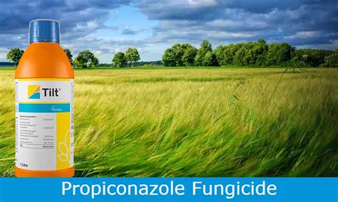 Propiconazole Fungicide Uses Price Dose Content Benefits