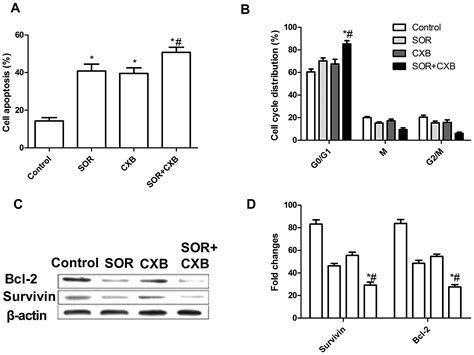 Combining Sorafenib With Celecoxib Synergistically Inhibits Tumor