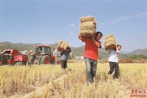 秸秆回收 助农增收 焦点图 湖南在线 华声在线