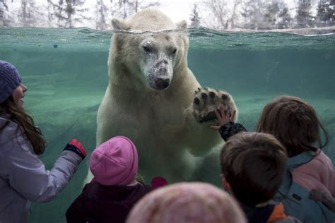 The Calgary Zoo - Wilder Institute/Calgary Zoo