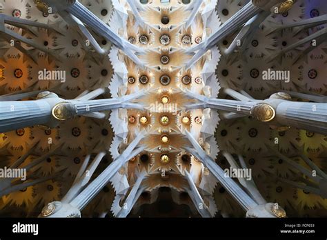 Ceiling Of Basilica Sagrada Familia Barcelona Spain Stock Photo Alamy