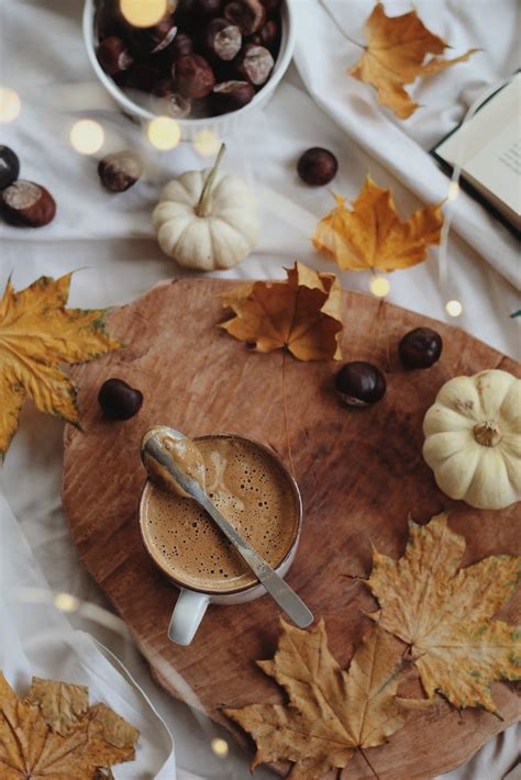 19 Gorgeous Autumn Coffee Table Decor Ideas For Your Home (and How to ...