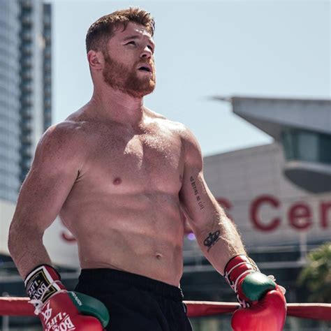 Canelo Álvarez Una Galería Del Campeón De México