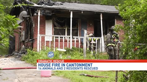 Multiple Animals Killed In Cantonment House Fire