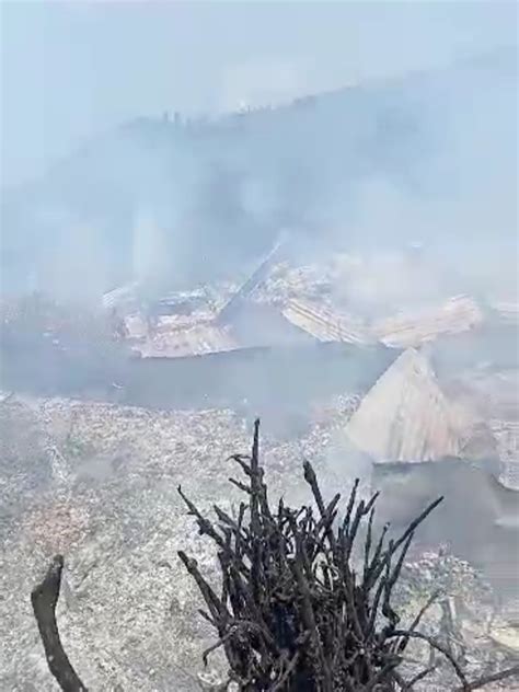 Kebakaran Hutan Gunung Lawu Di Ngawi Meluas Masuk Wilayah Karanganyar