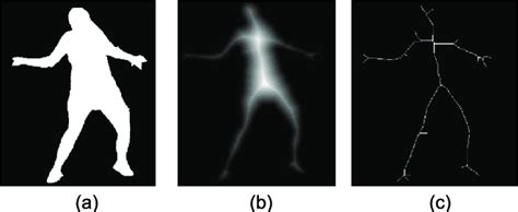 Skeletonization Results Showing A The Original Binary Images B